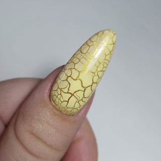 Seduce® Crack Lak | SN237 | Cypher Yellow