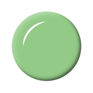 Seduce® Brush builder Biab kleur cool mint een prachtige groene Biab kleur