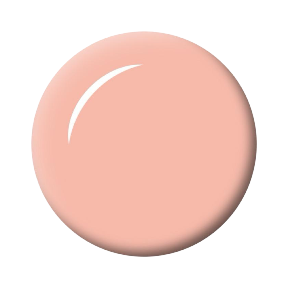 Brush Builder - Peach Puff