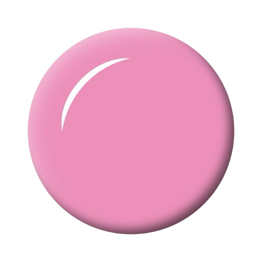 Brush Builder - Bubblegum Beach
