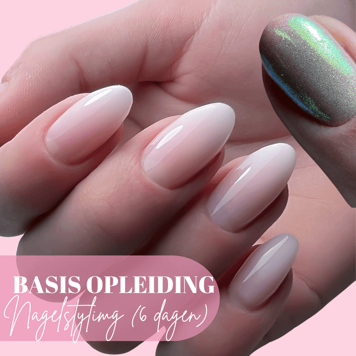 Basis opleiding nagelstyling (6 dagen) - Seductionail