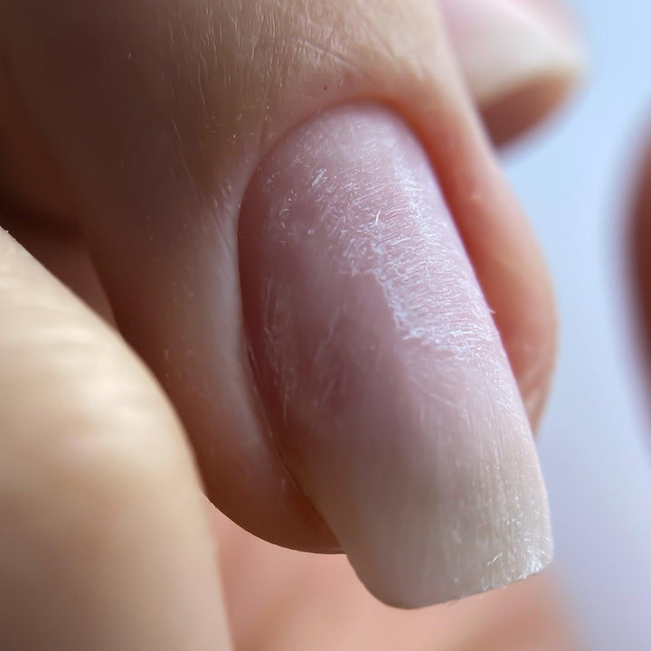 Basis opleiding nagelstyling (6 dagen) - Seductionail